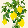 Sunny Lemons 4x5