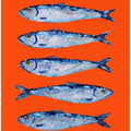 Sardines on Orange