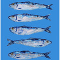 Sardines on Blue