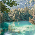 Art Prints of Blausee