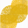 Art Prints of Yellow Circle Fans 1