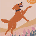 Art Prints of Frisbee Dog