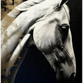 White horse