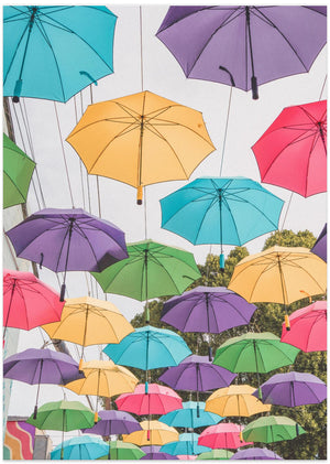 Art Prints of Colorful Umbrellas