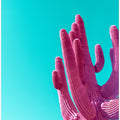 Art Prints of Magenta Pink Saguaro