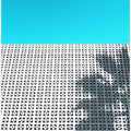 Art Prints of Parker Palm Shadow in Palm Springs
