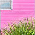 Art Prints of Vintage Pink Camper Trailer with Cactus