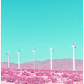 Palm Springs Windmills in the Desert