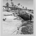Art Prints of In focus: SAN DIEGO Sunset Cliffs