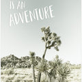 Art Prints of Every day is an adventure | Desert impression