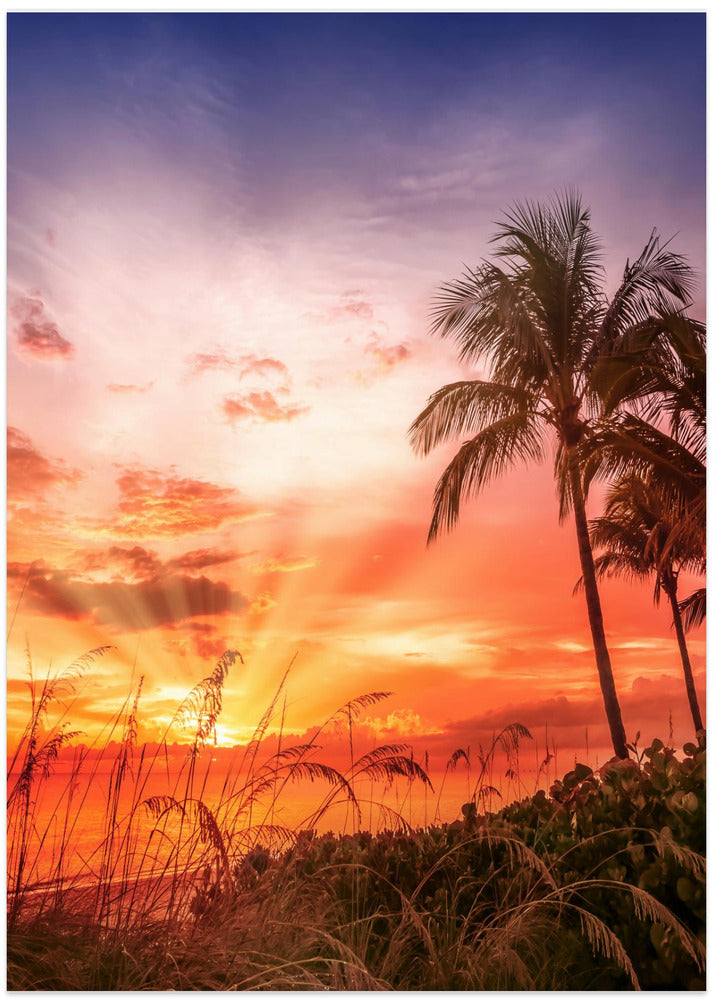 BONITA BEACH Picturesque Sunset