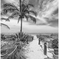 Art Prints of Path to the beach - monochrome