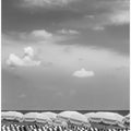 Art Prints of MIAMI BEACH Monochrome beach scene
