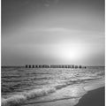 Art Prints of Gasparilla Island - Monochrome coastal impression