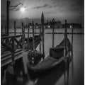 Art Prints of VENICE Gondolas during sunrise in black and white