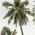 Palm Trees by the ocean | Vintage