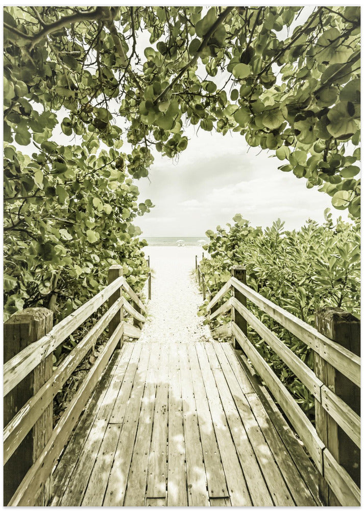 Bridge to Miami Beach