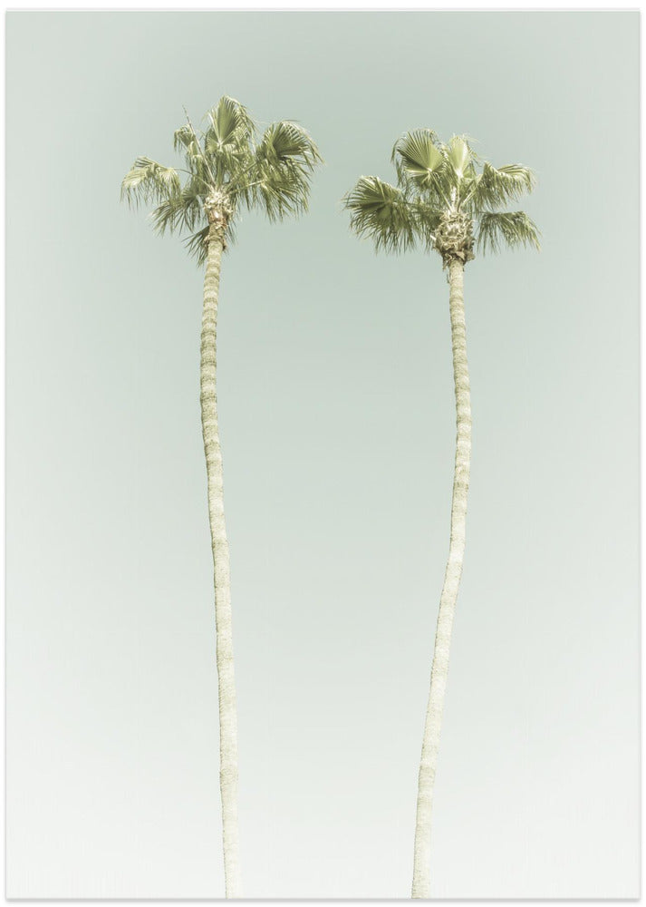 Minimalist Palm Trees