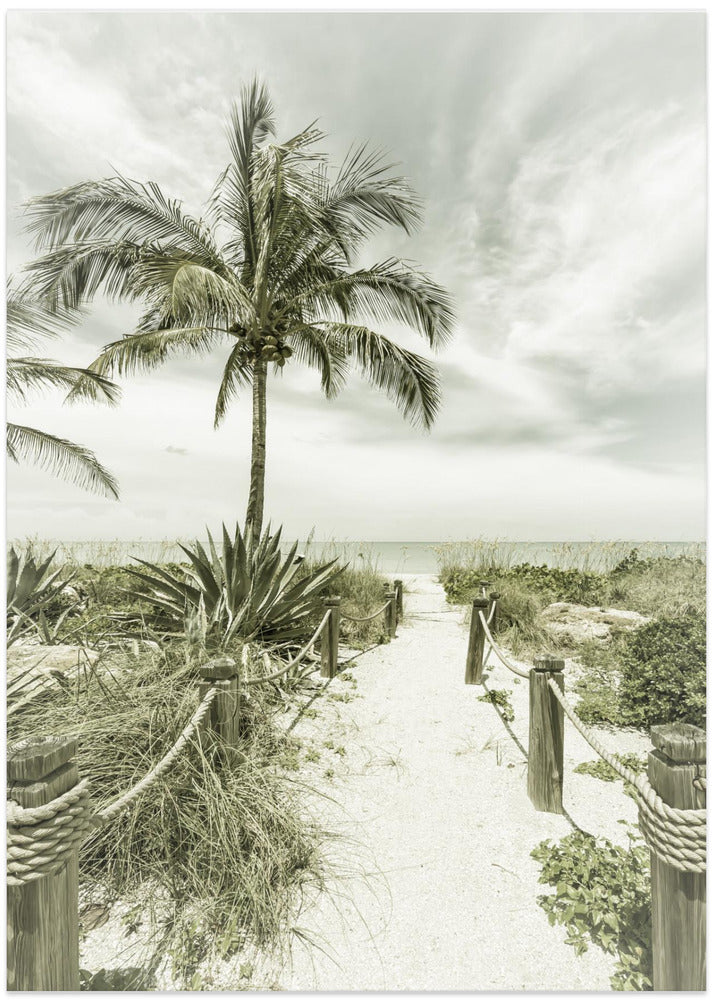 Vintage path to the beach