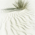 WHITE SANDS Idyllic vintage scenery