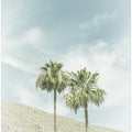 Vintage Palm Trees in the desert