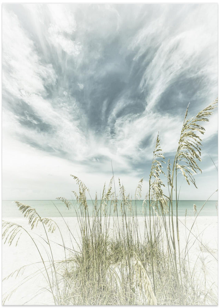 Calmness on the beach