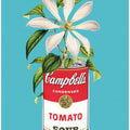 Art Prints of Campbells and Flowers