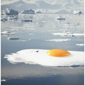 Egg-berg - Arctic Egg Sunny Side Up