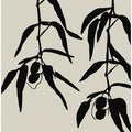 Art Prints of Olive twigs