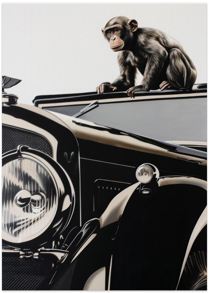Monkey and the Bentley