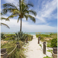 Art Prints of Path to the beach