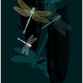Midnight Dragonflies
