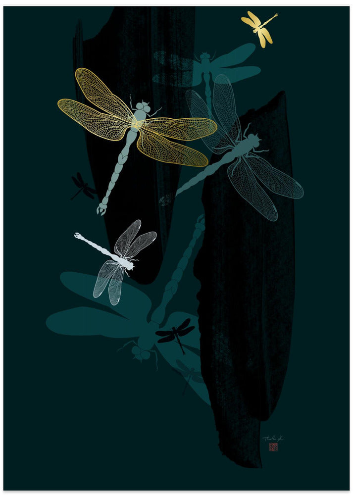Midnight Dragonflies