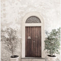 Art Prints of Italian door 7