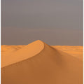 Sunset in the Sahara Desert