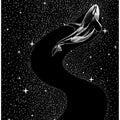 Starry Orca (black Version)