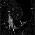 Starry whale (Black Version)