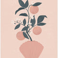 Art Prints of Tangerine Shell