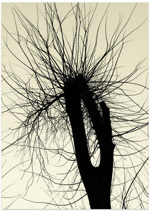 Art Prints of City Range 24