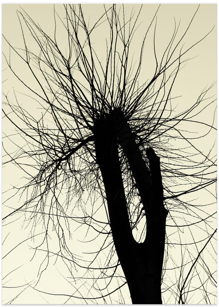 Art Prints of City Range 24