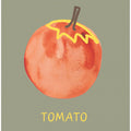 Art Prints of Tomato in Green