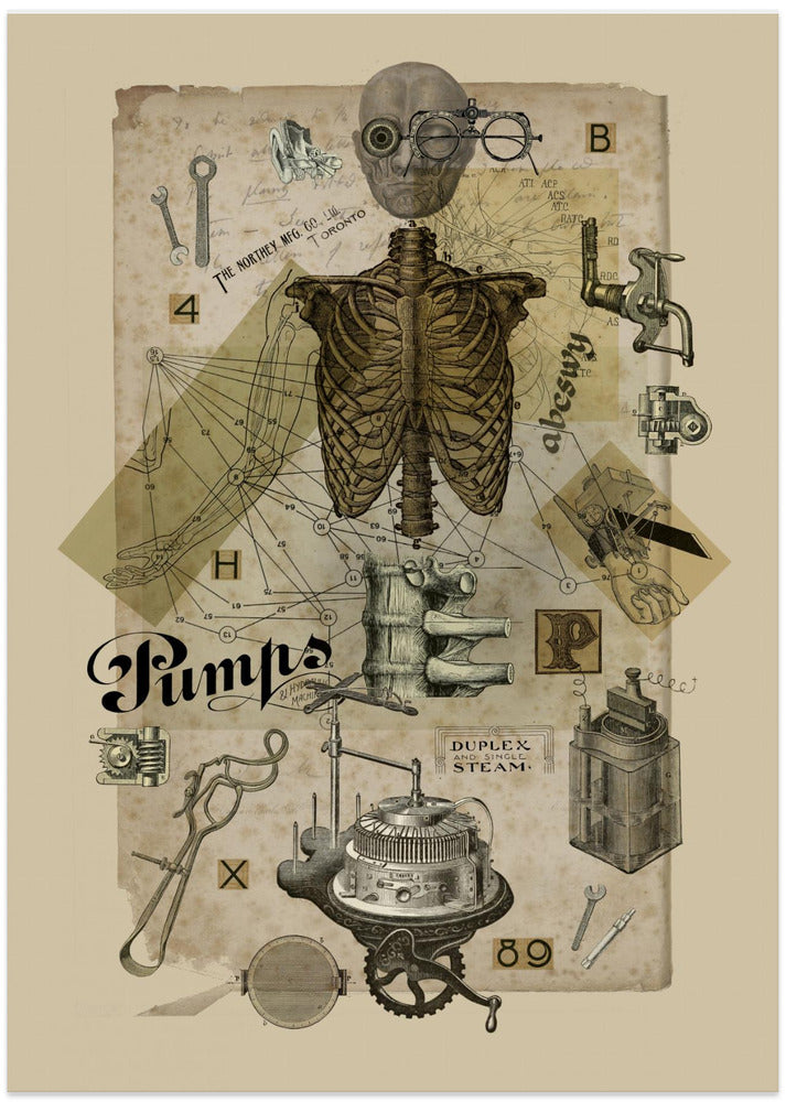 Body In Metamorphosis