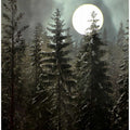 Moonlight over the forest