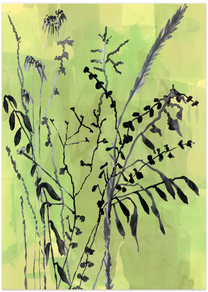 Folklore Arrangement