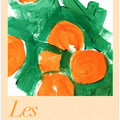 Les Oranges Une Étude 2