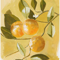 Orange Tree