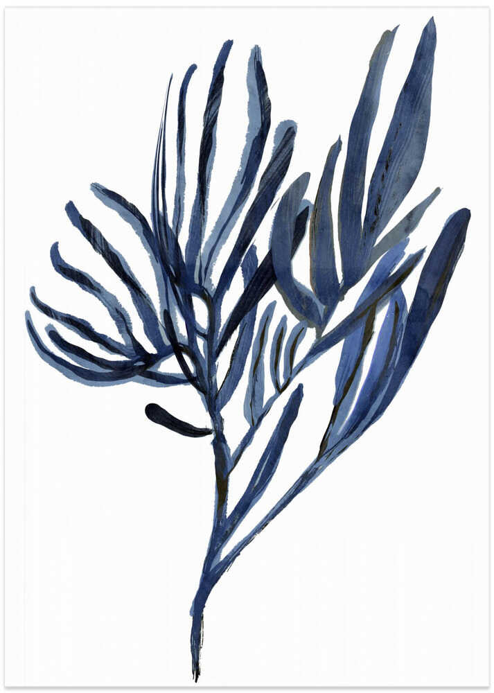 Blue Aquatic Plant Poster 2