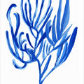 Blue Aquatic Plant Poster 4