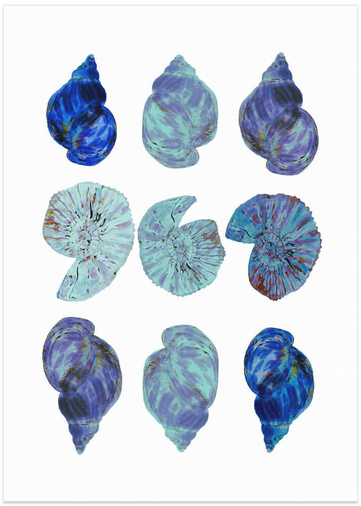 Blue Sea Shells Poster