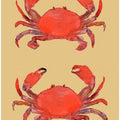 Crab Poster 2